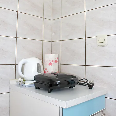 Apartment Roic *